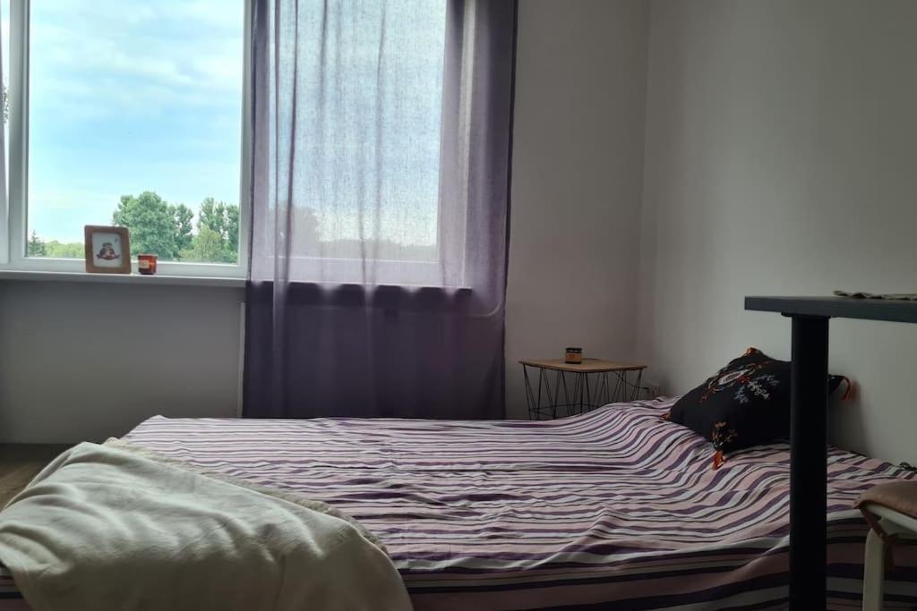 Entire In Valmiera, Latvia *